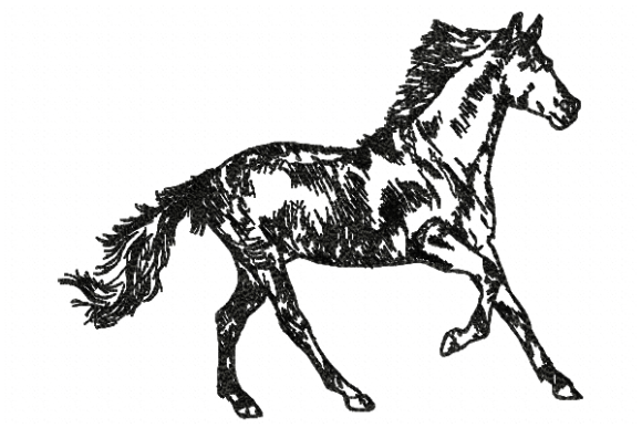 Horse Line Embroidery Design Review: A Seasonal Designer's Perspective